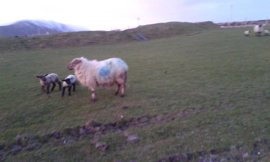 Achill West Coast House Bed & Breakfast Dooagh Bagian luar foto
