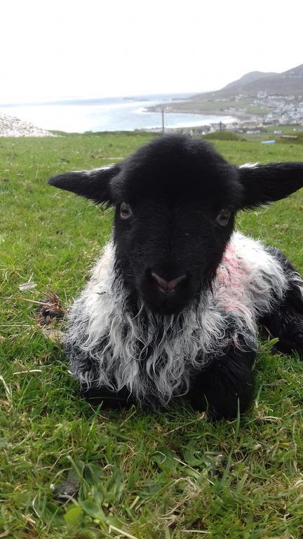Achill West Coast House Bed & Breakfast Dooagh Bagian luar foto