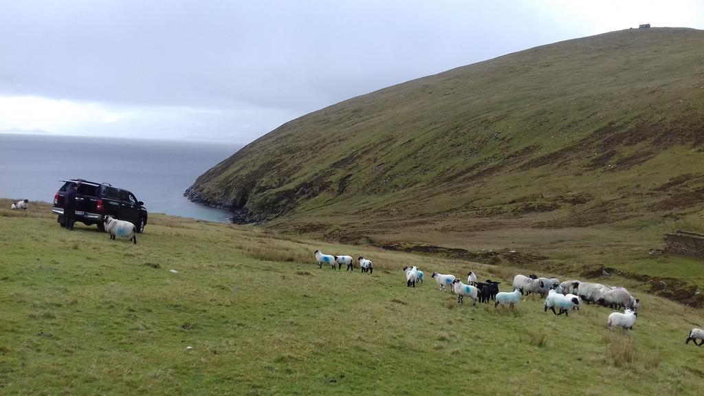 Achill West Coast House Bed & Breakfast Dooagh Bagian luar foto