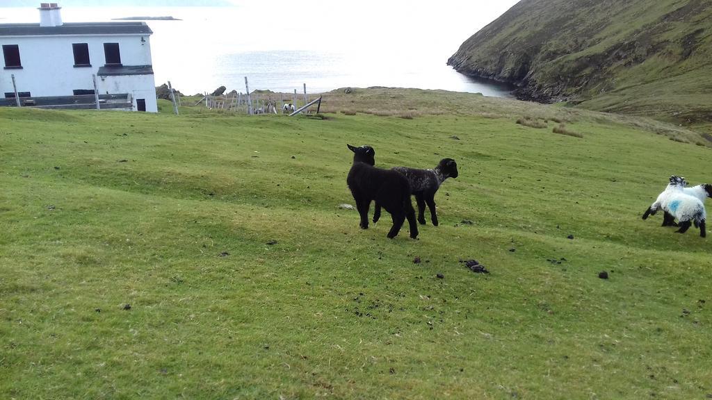 Achill West Coast House Bed & Breakfast Dooagh Bagian luar foto
